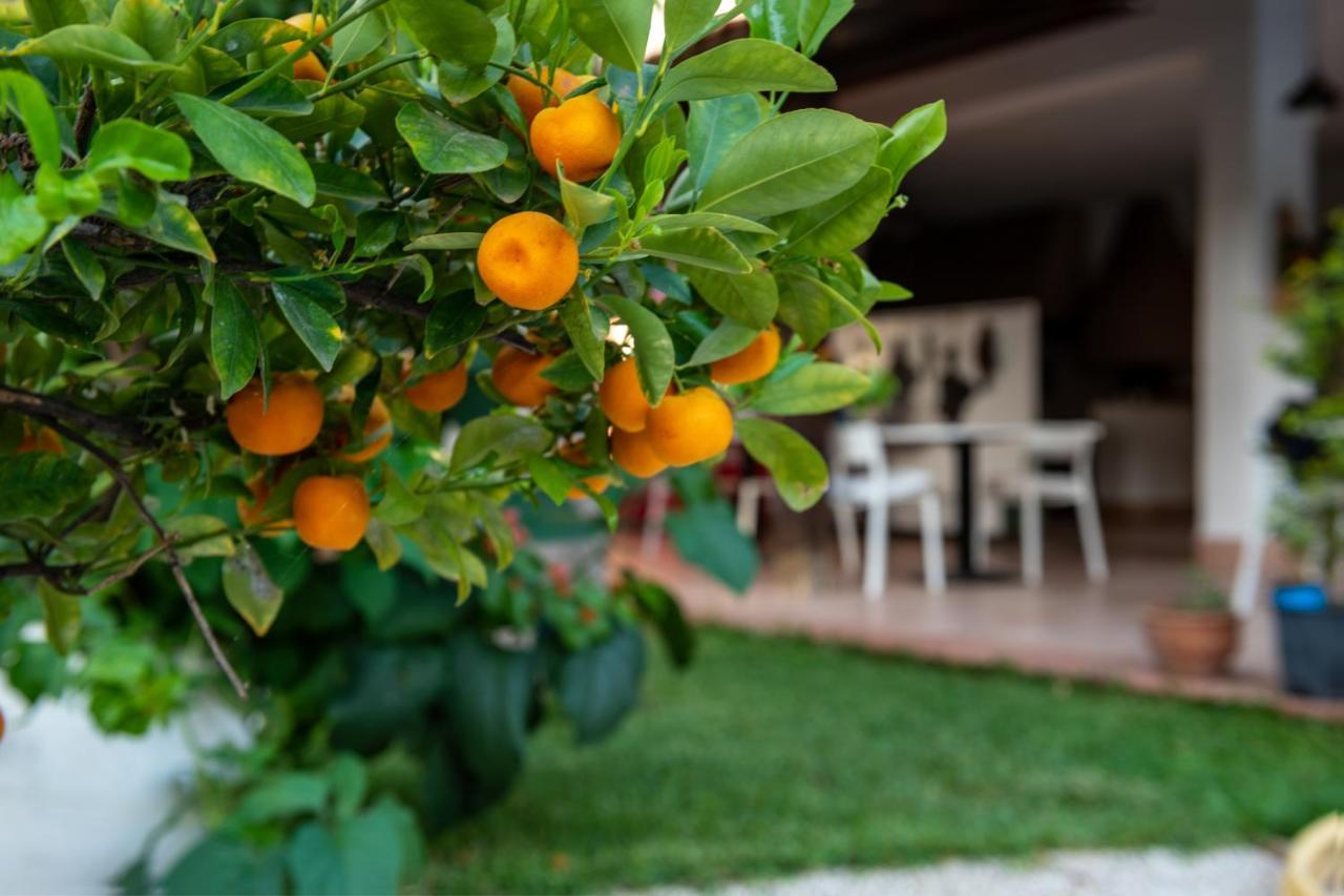 Villa Megna - Green Paradise B&B Палермо Екстериор снимка